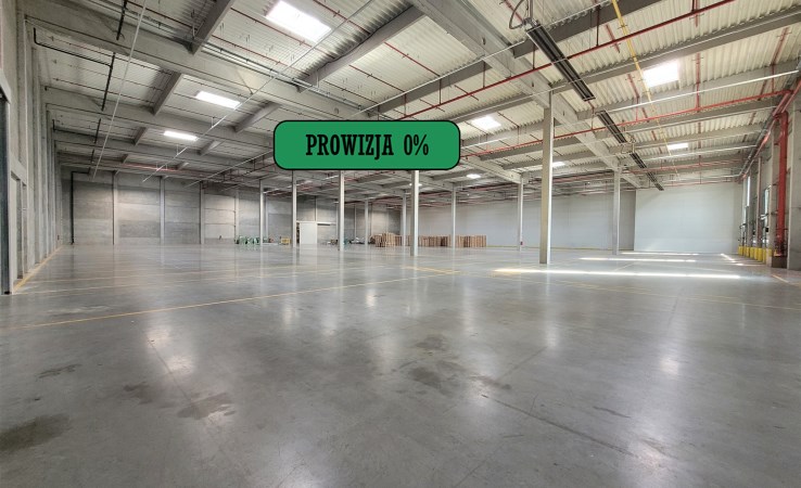 hala na wynajem - Wielka Wieś, Modlniczka